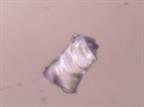 diamant 200 mk
